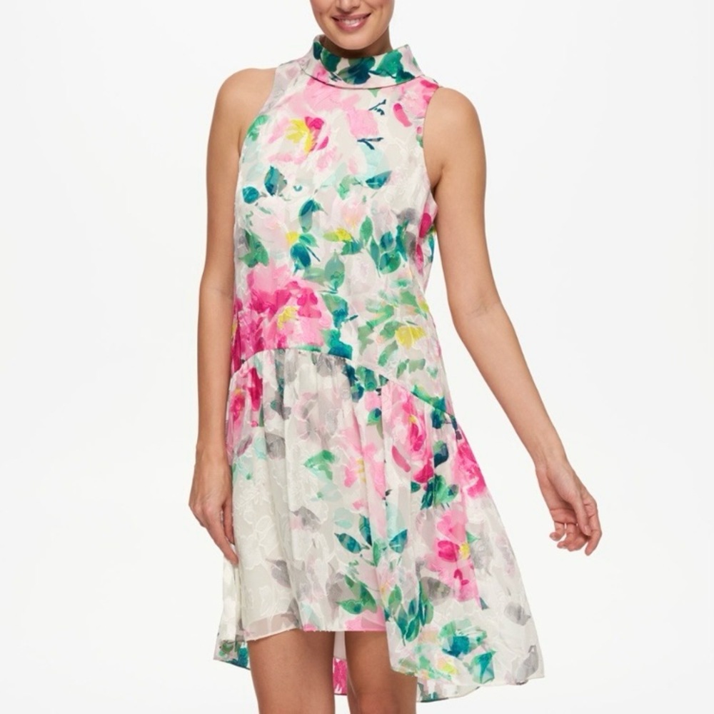 Eliza J Crepe de Chine Skater Dress Size 6 White Pink Green Floral Flower Collar
